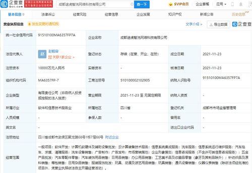 信息系統(tǒng)集成服務 數(shù)字化轉(zhuǎn)型的“總設計師”