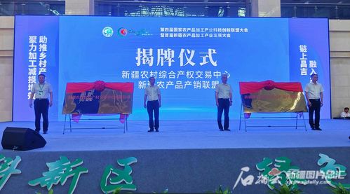 攜手并進 新疆農村改革新篇章，產權交易中心與產銷聯(lián)盟共啟農產品貿易新紀元